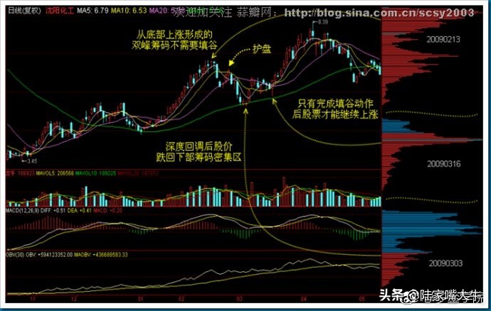 筹码分布战法全套讲解,筹码分布运用详解大全