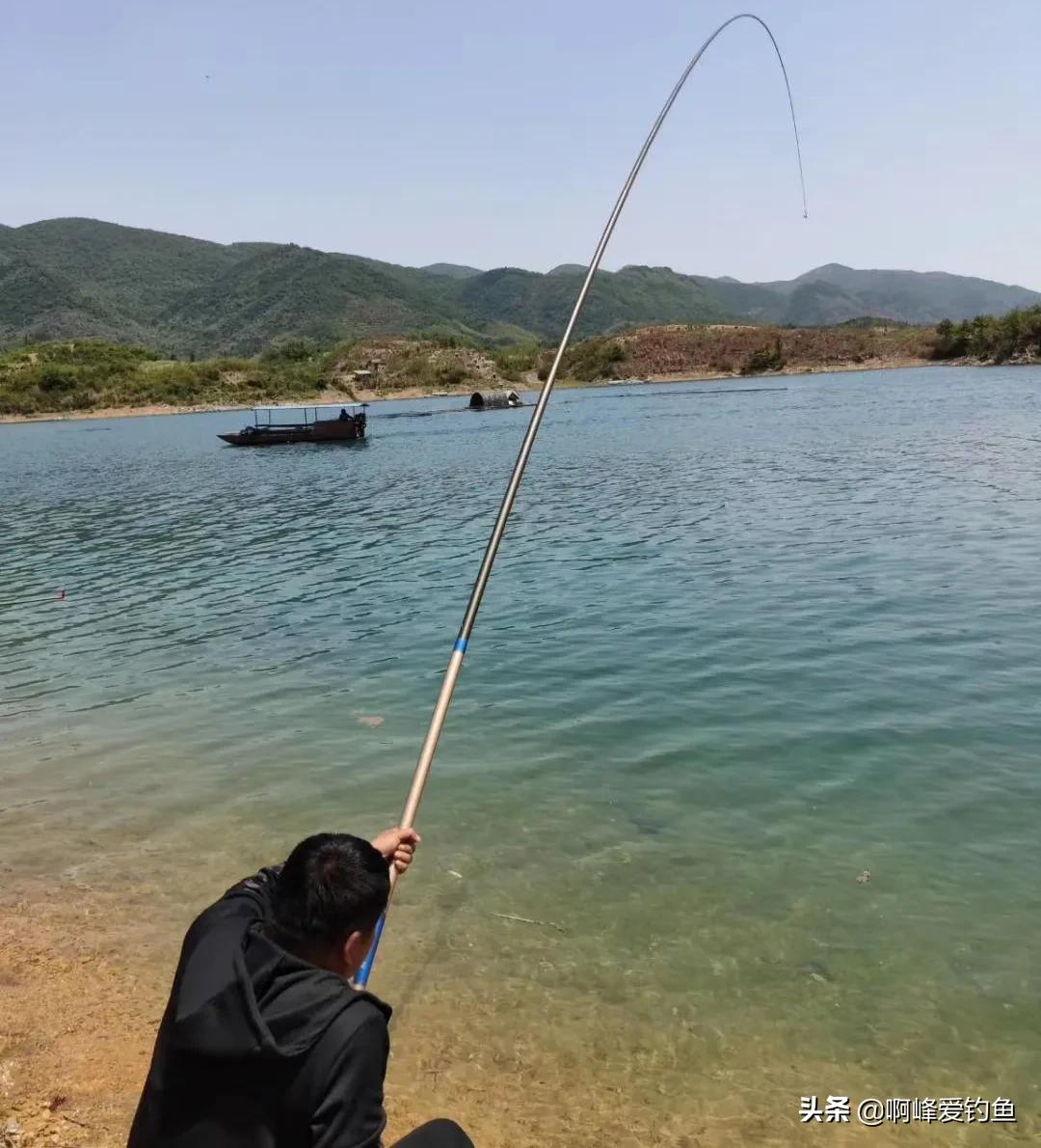野钓如何钓底层鱼类最好,野钓怎么钓大个体鱼