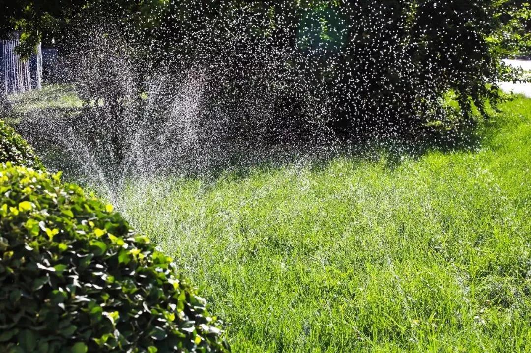 天津津南区荣程钢铁,天津荣程钢铁环境