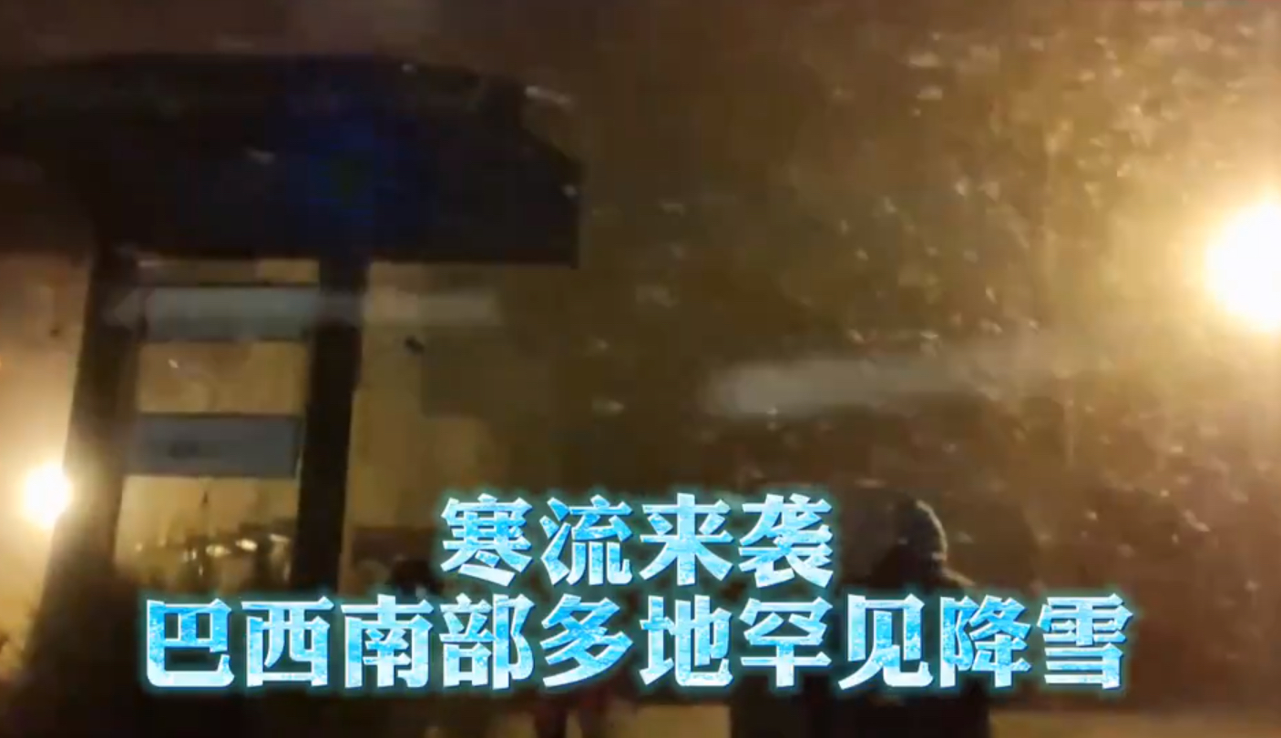 河南邓州惊现飞虫集聚,被传为“涨水蛾”,它们的出现意味什么?