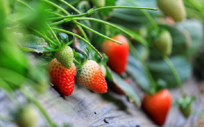 避暑亲子旅游推荐5天游,暑期草原亲子游攻略