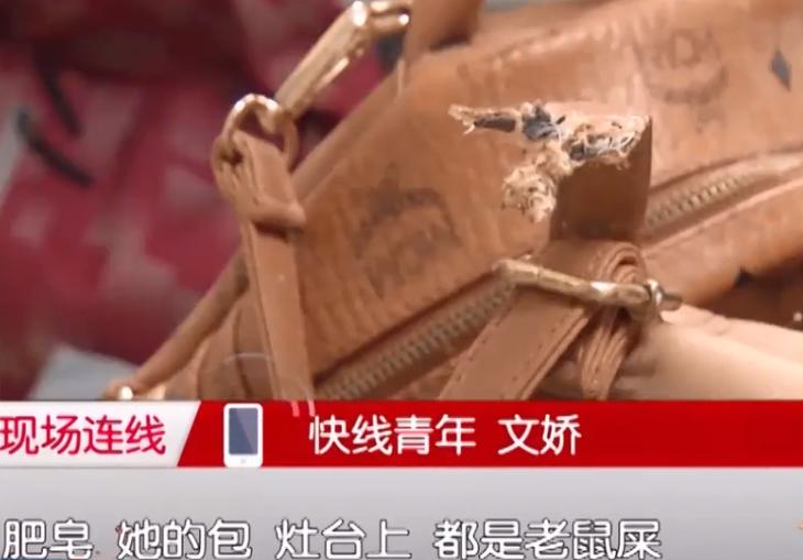 租房被老鼠咬了手指,在出租屋被老鼠咬了房东有责任吗