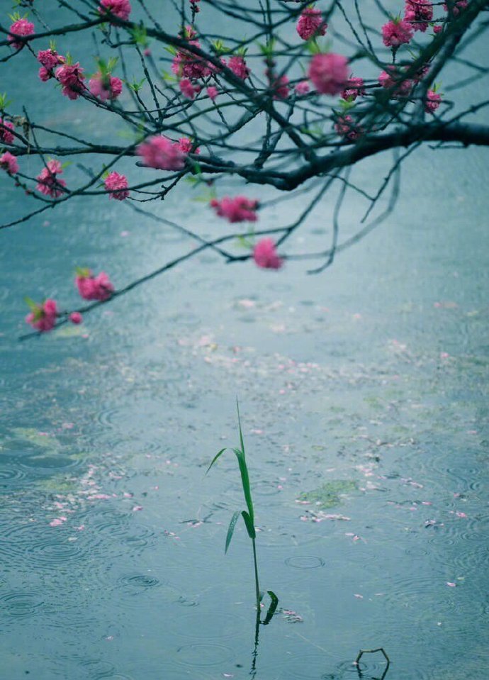 书信、酒、月亮、太阳、银河的雅称，你都听过吗？收藏学习