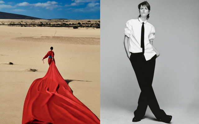 收藏贴纸本,收藏的贴纸