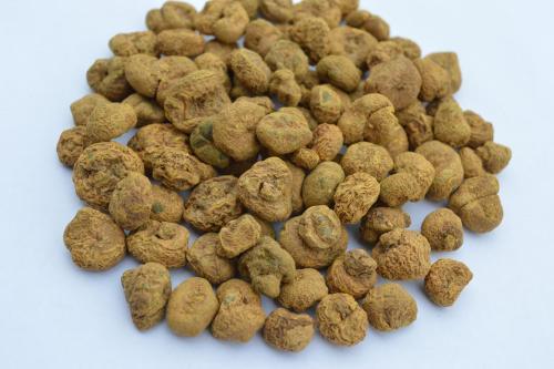 为什么止痛良药元胡没有止痛效果?原因在哪?