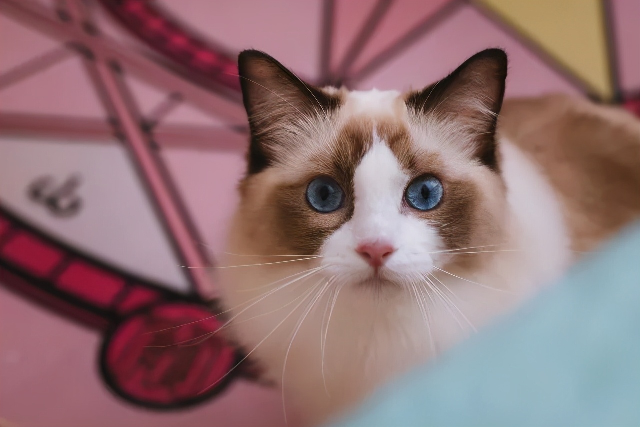 连用90天，拍摄近千G。EOSR5发布三个月后的使用报告