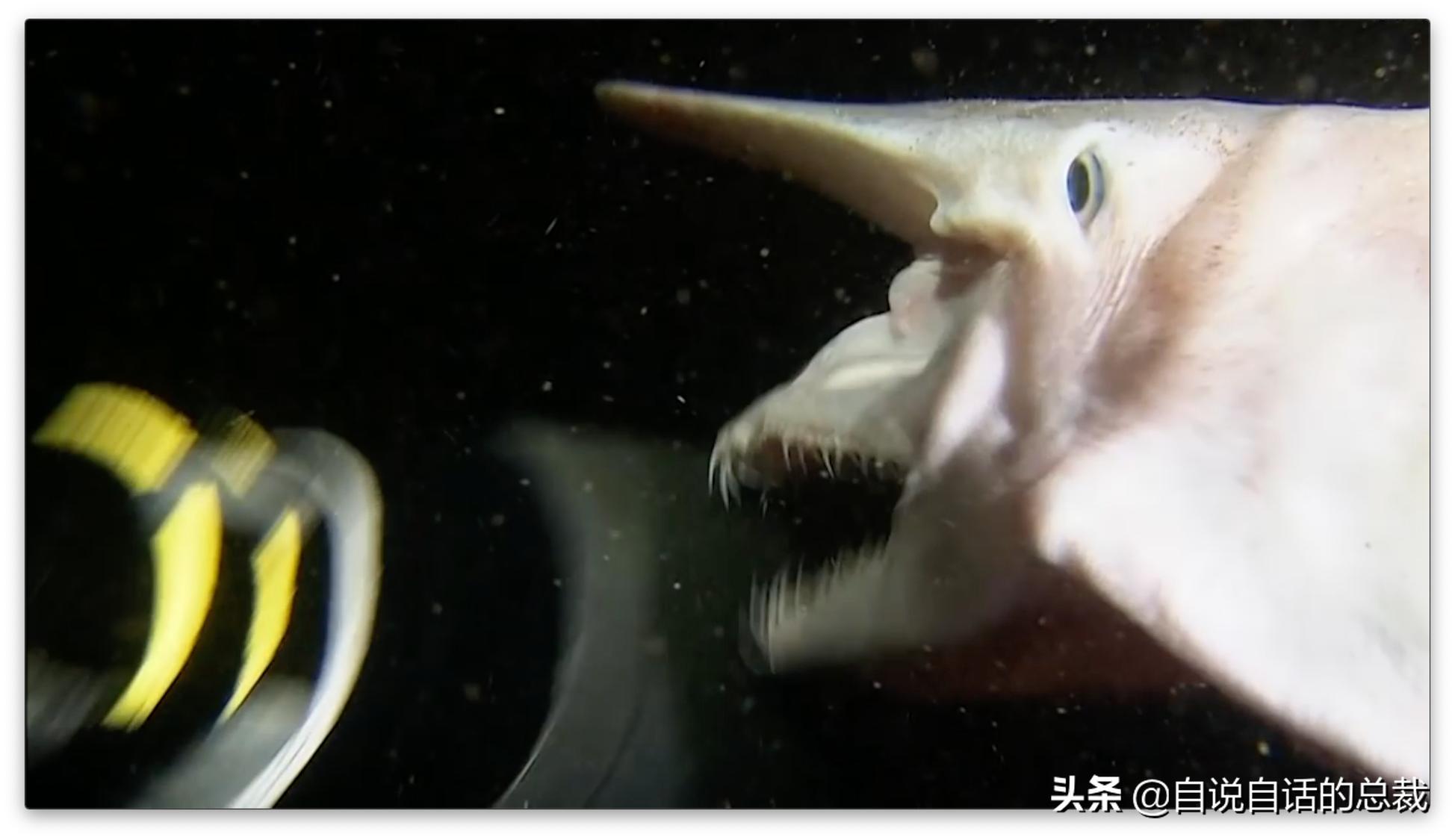 美国探测深海潜艇失踪事件,美国海神号发现了什么