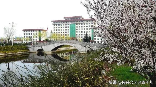 卫辉人那些昼思夜想的桥！究竟有何魔力？