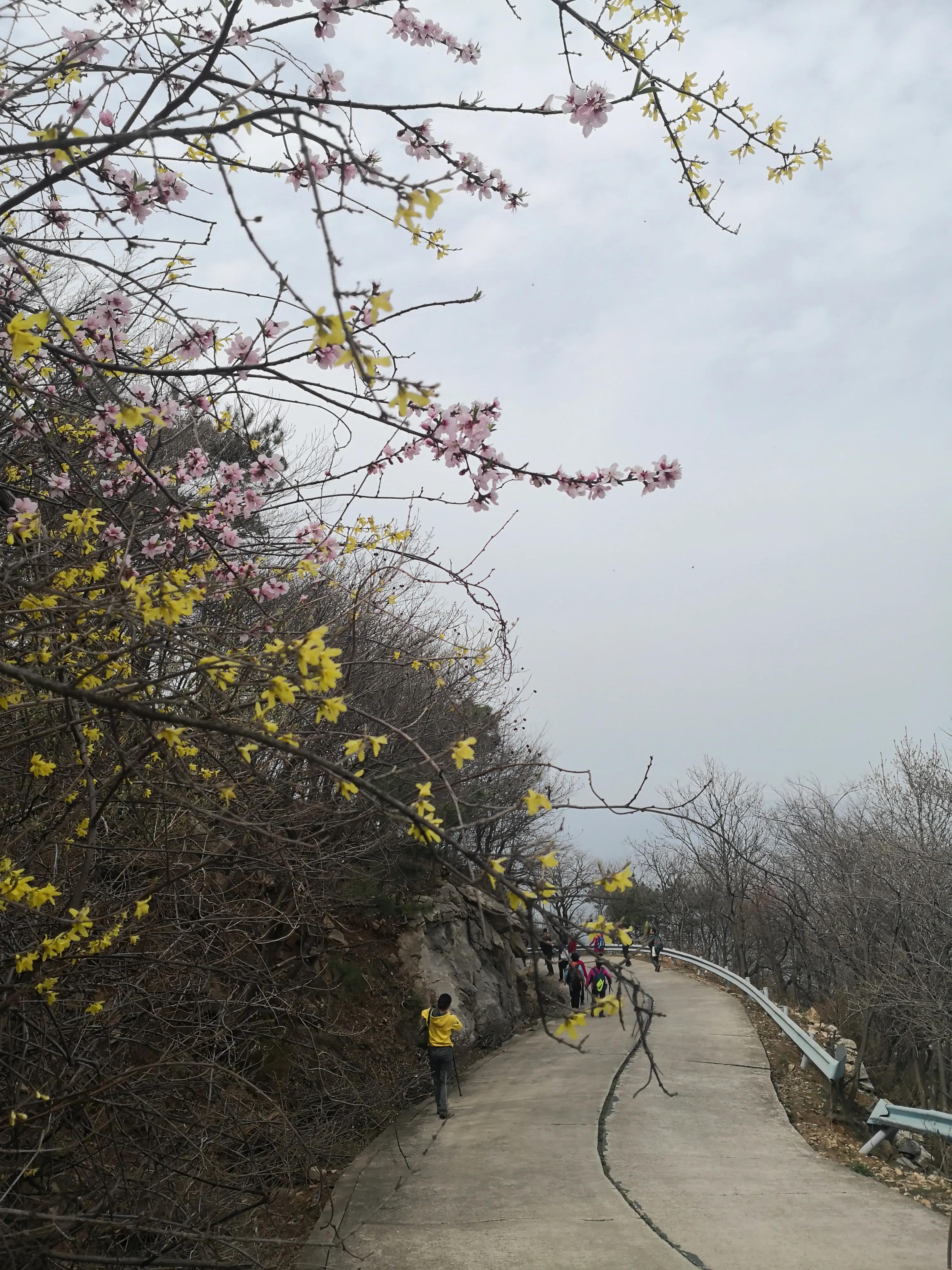 爬山第二天小腿肌肉僵硬如何缓解,爬山后小腿疼如何缓解