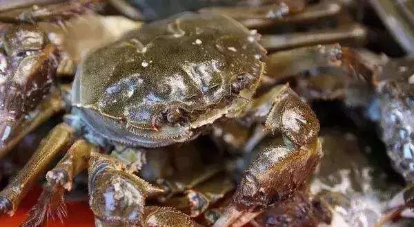 西安批发市场大全,西安最全批发市场地址