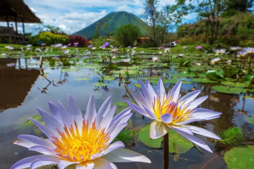 美娜多出海的图片,美娜多成为潜水天堂的原因