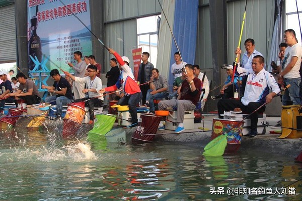 养殖颗粒怎么搭配,黑坑钓鱼技巧与饵料配制方法