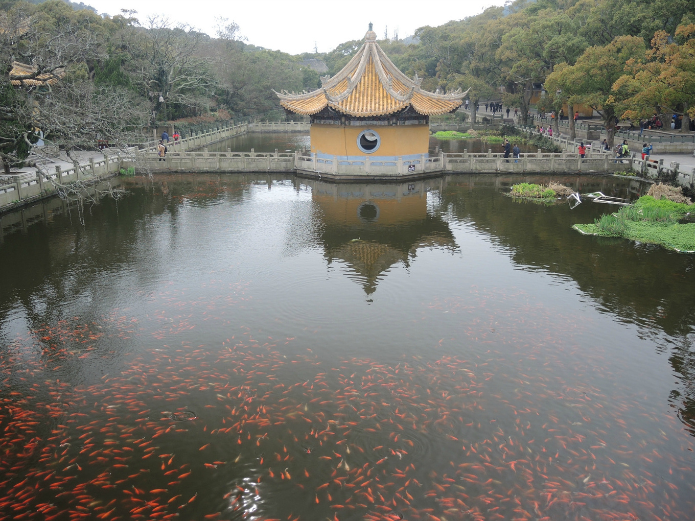 自助旅行普陀山,普陀山旅行