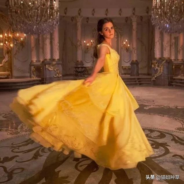 穿出奥斯卡复古名媛感,《小妇人》的设计美学超好用