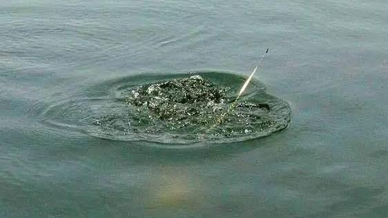 大鱼的漂相,哪几种漂相可以果断提竿