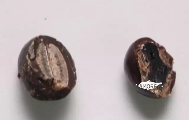 麦丽素作为现在的网红零食,麦丽素和零食的区别