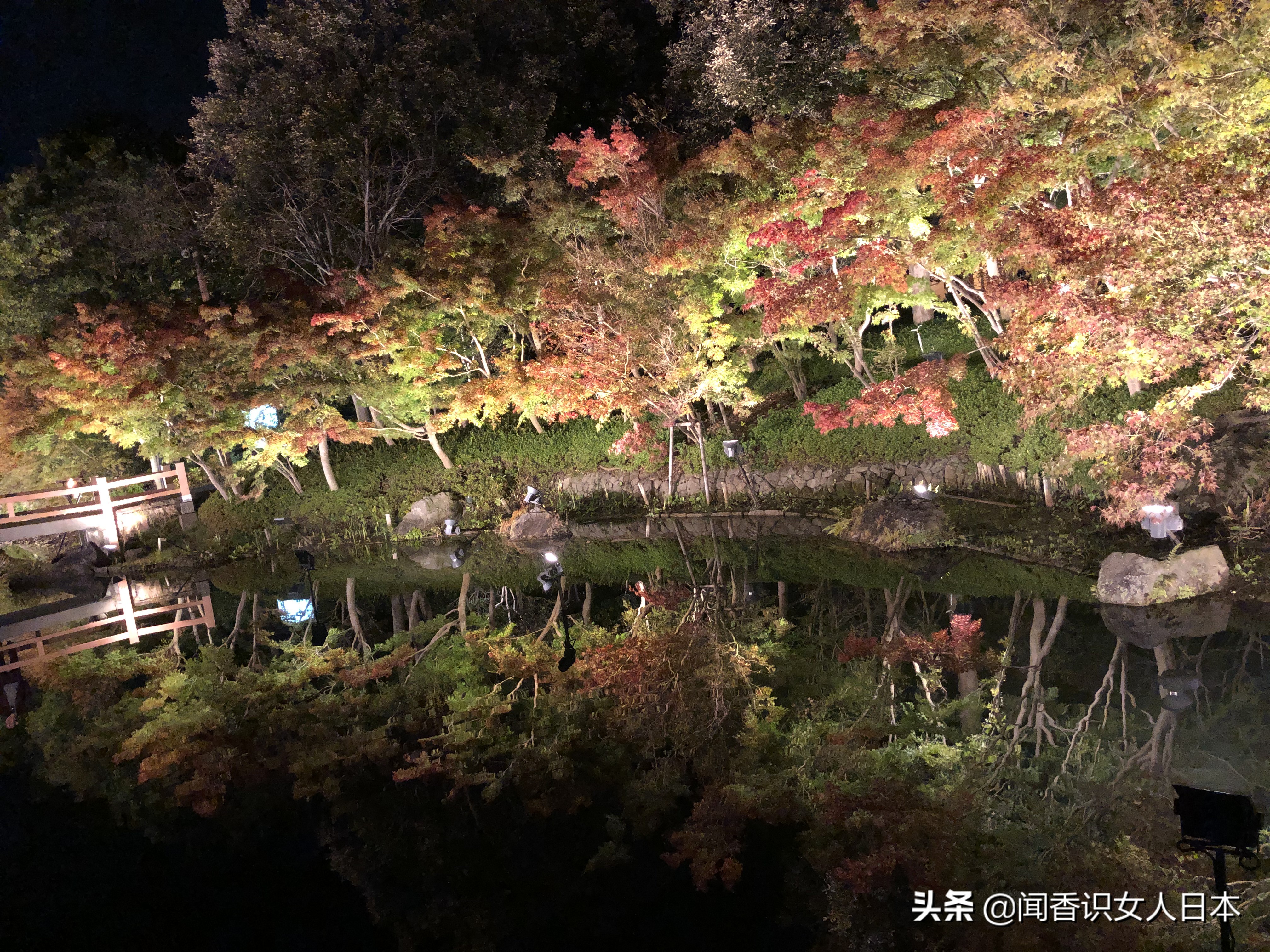日本最美夜景,日本最美水上光影隧道