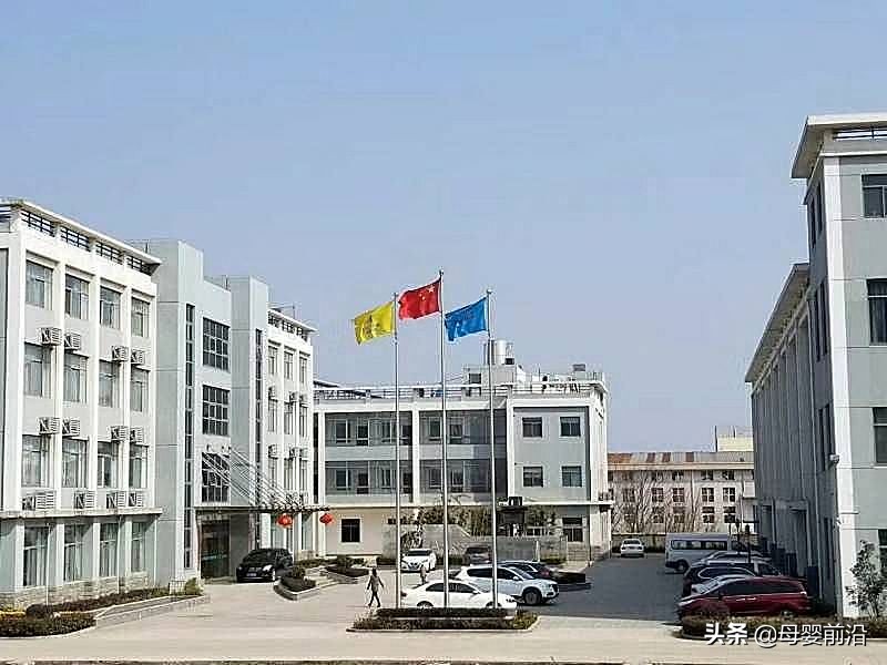 母婴坊产品质量,母婴坊服务