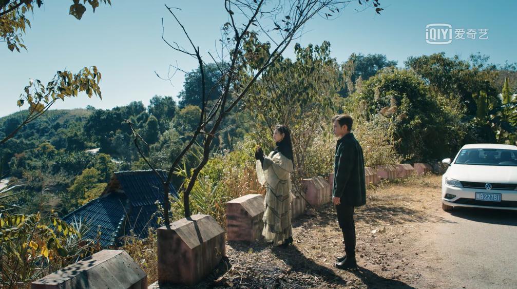 看完司藤后看哪部电视剧,看完司藤还爱看什么