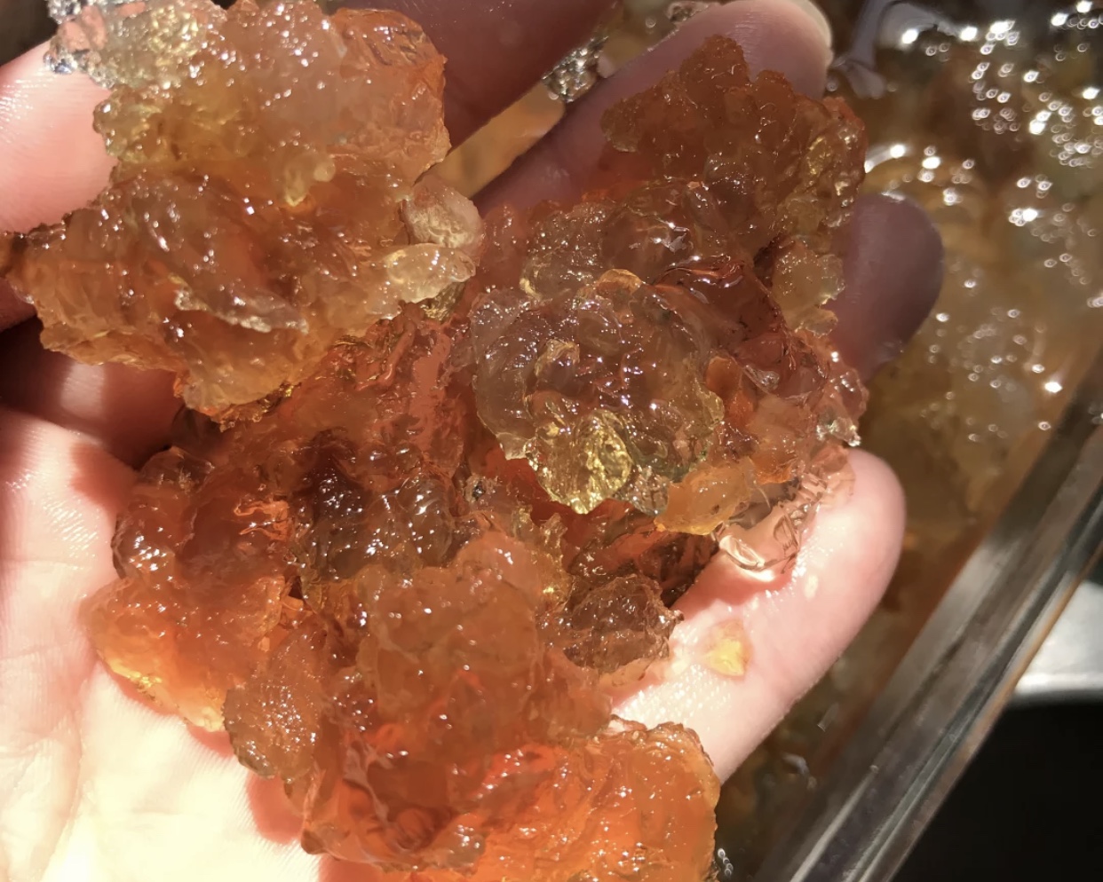 桃胶皂角米雪燕功效与禁忌,桃胶皂角米雪燕禁忌吃什么