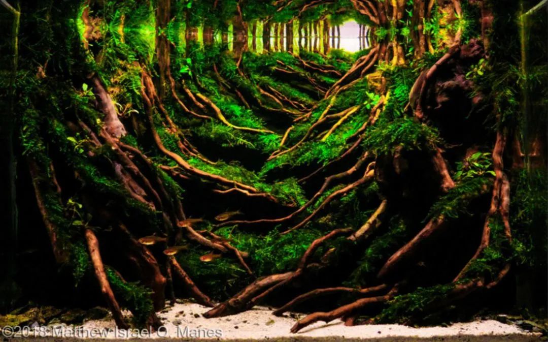 造景如何看起来有层次,十个最好看的造景