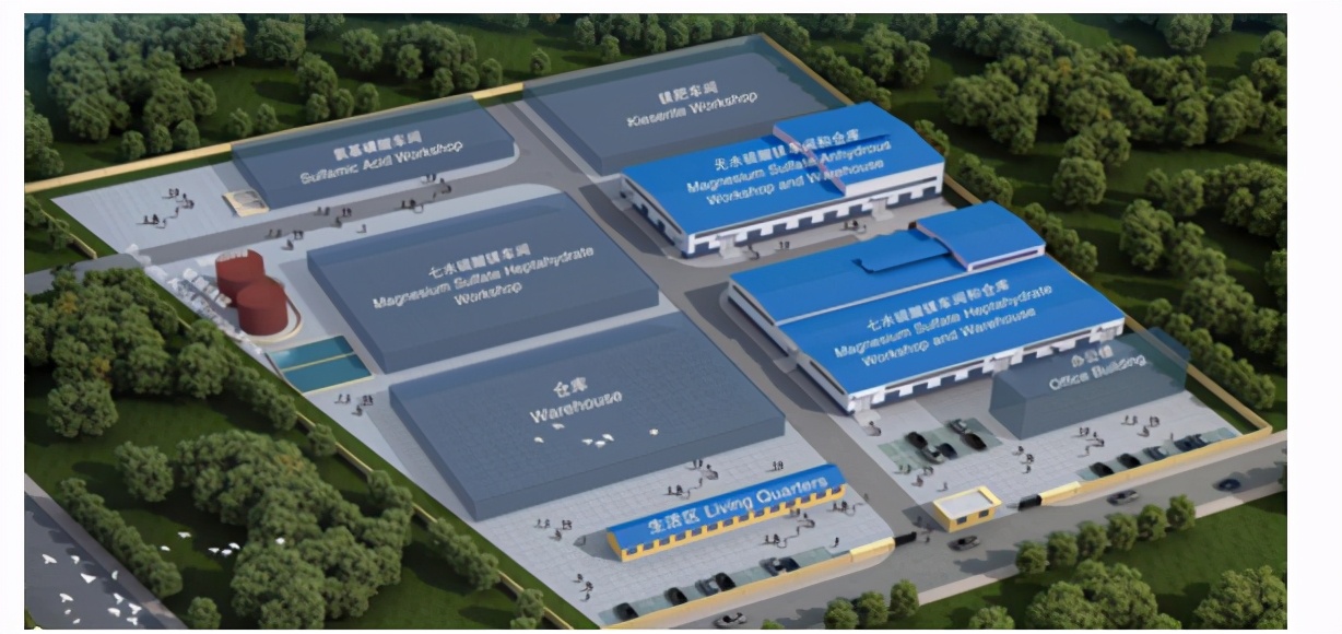 镁元素对植物的作用,镁种类的作用与功效有哪些