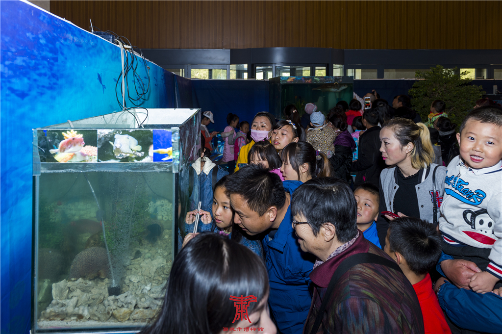 酒博会工作简报,酒博会2019纪念酒