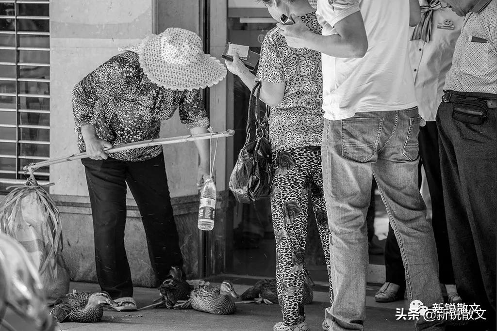 回忆一下生产队年代,回忆生产队的年代