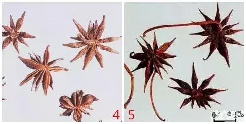 真实的法医基础知识,细思极恐的法医知识