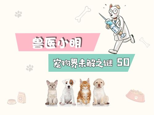 猫咪冬天会怕冷吗,有毛不耐寒的动物