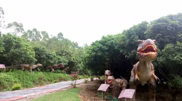 深圳周末小众好去处,深圳大鹏小众旅游景点