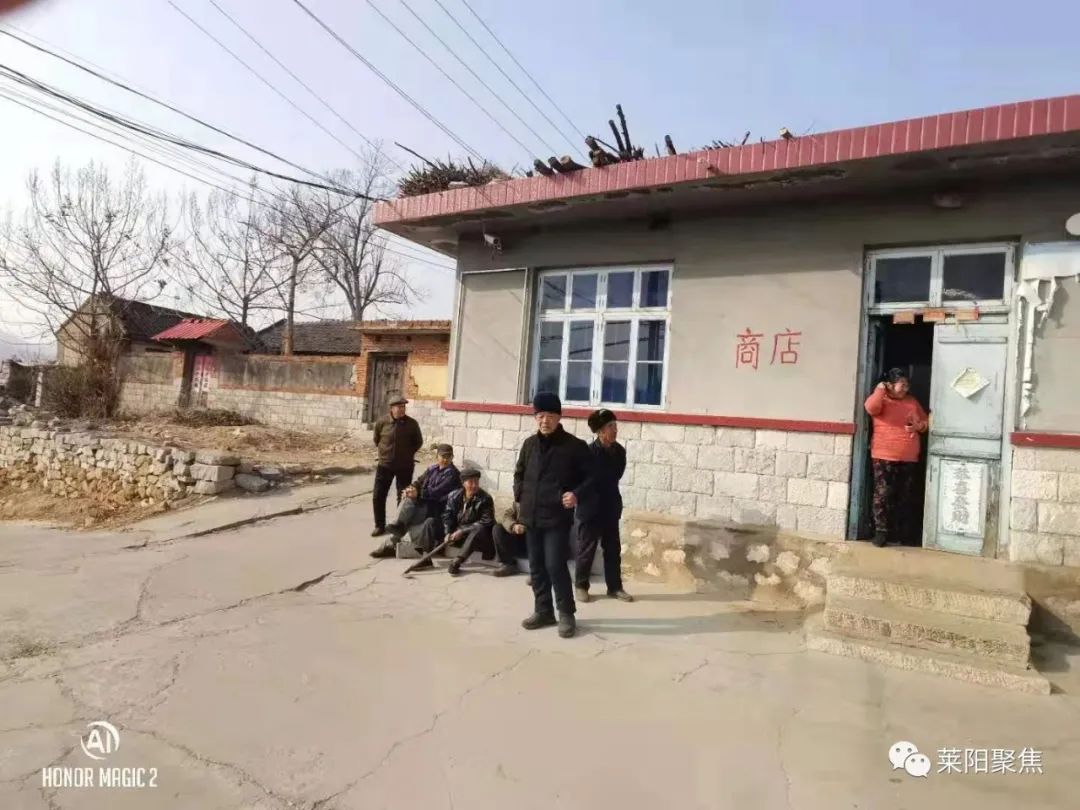 属相排位的由来,十二属都是啥