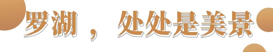 罗湖发达吗,罗湖区的实力到底有多强