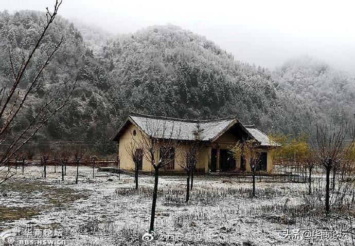 陕西13岁女孩遭姑父暴打,平利一女生遭猥亵