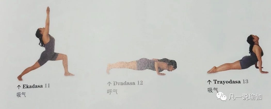 瑜伽拜日口令动作讲解,瑜伽拜日口令版零基础入门必学