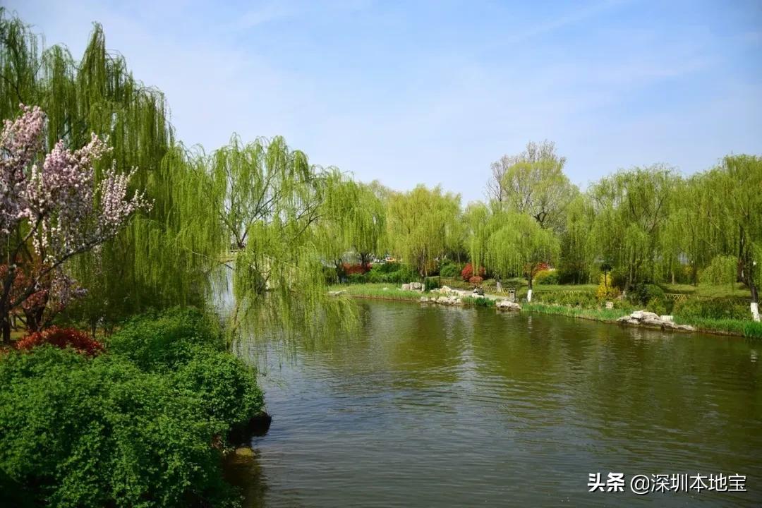 深圳特价往返机票购买攻略,深圳出发哪条国内航线的机票便宜