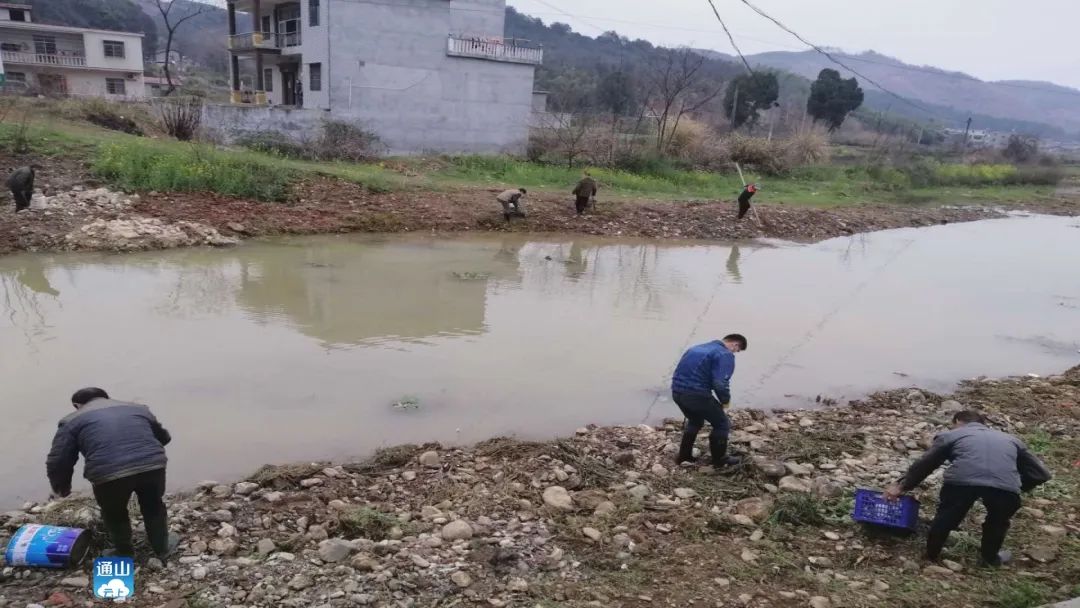 黄沙铺镇梅田村:昔日垃圾“围村”如今美丽如画