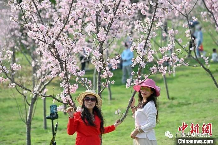 桂林水质在全国排第一,2023年广西水质排名前十名