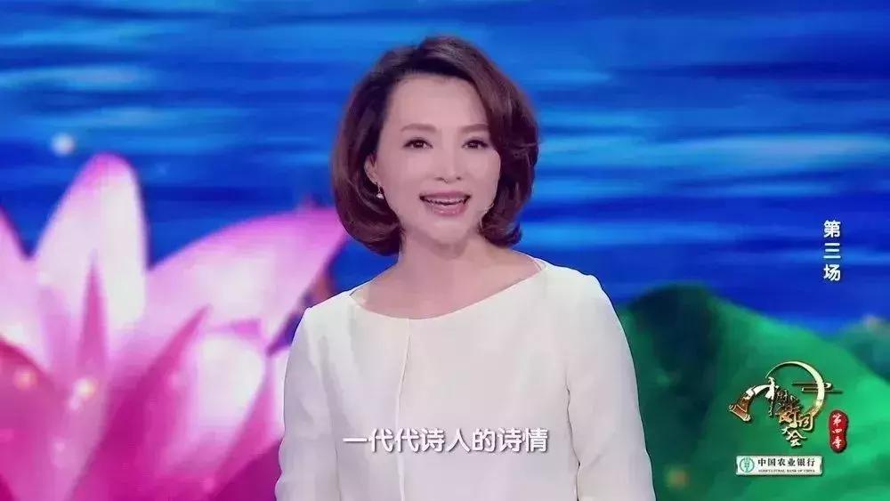 董卿中国诗词大会开场词集锦,董卿诗词开场完整版