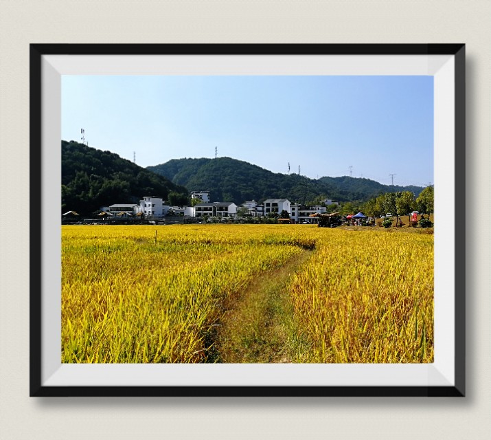 山清水净鸟语花香,广州从化山水田园旅游