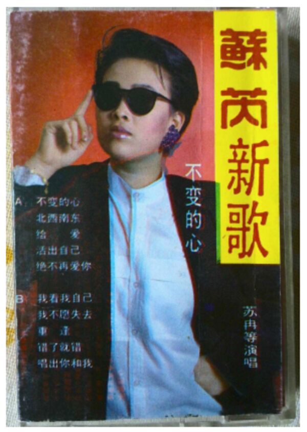 那英疯狂的歌曲大全,那英经典情歌征服