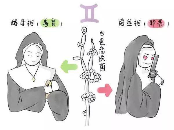 孕期外阴瘙痒会有什么影响吗,孕期白带一直绿色外阴瘙痒