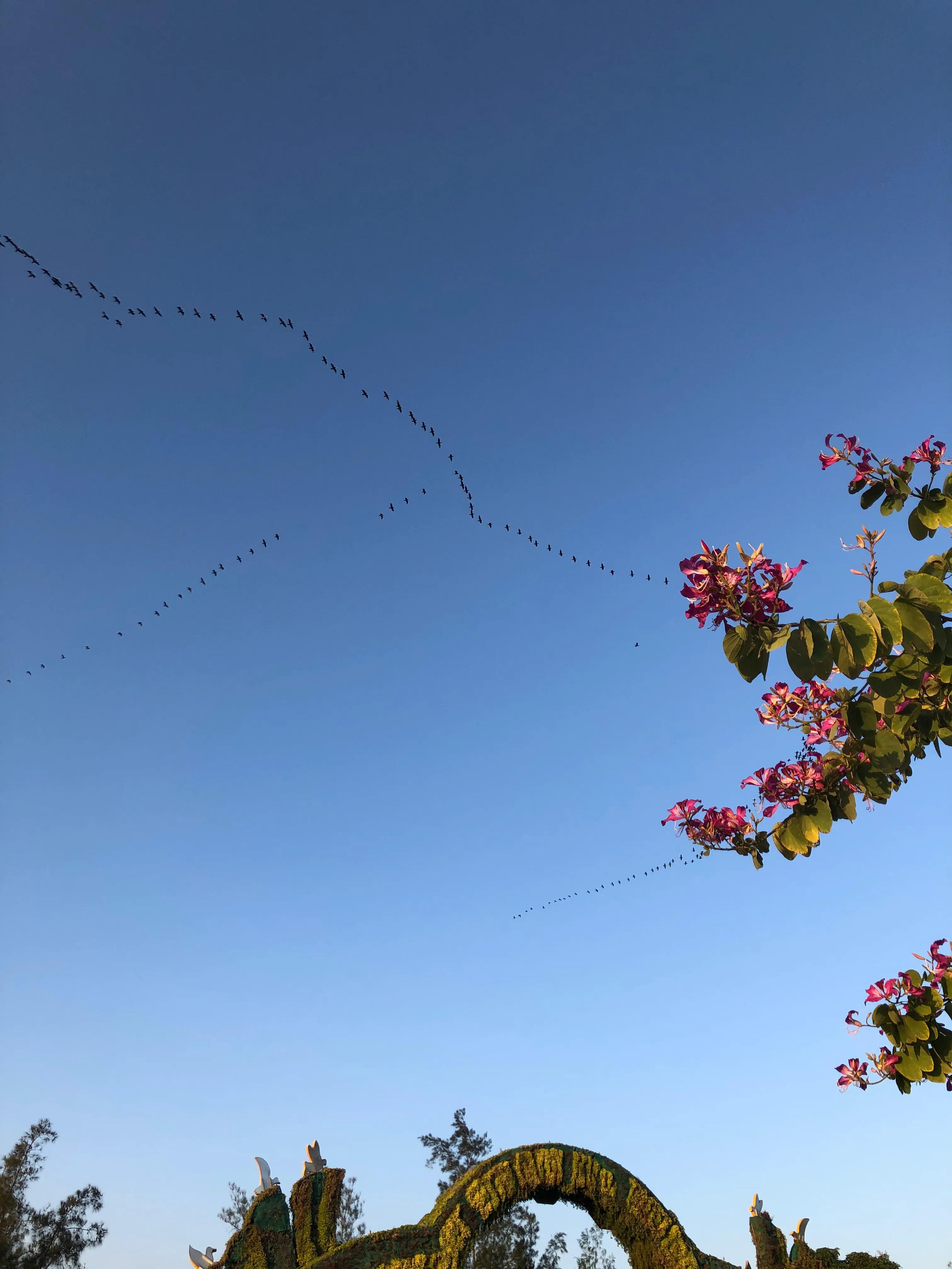 厦门集美学村龙舟池好玩吗,厦门集美学村龙舟池捞鱼
