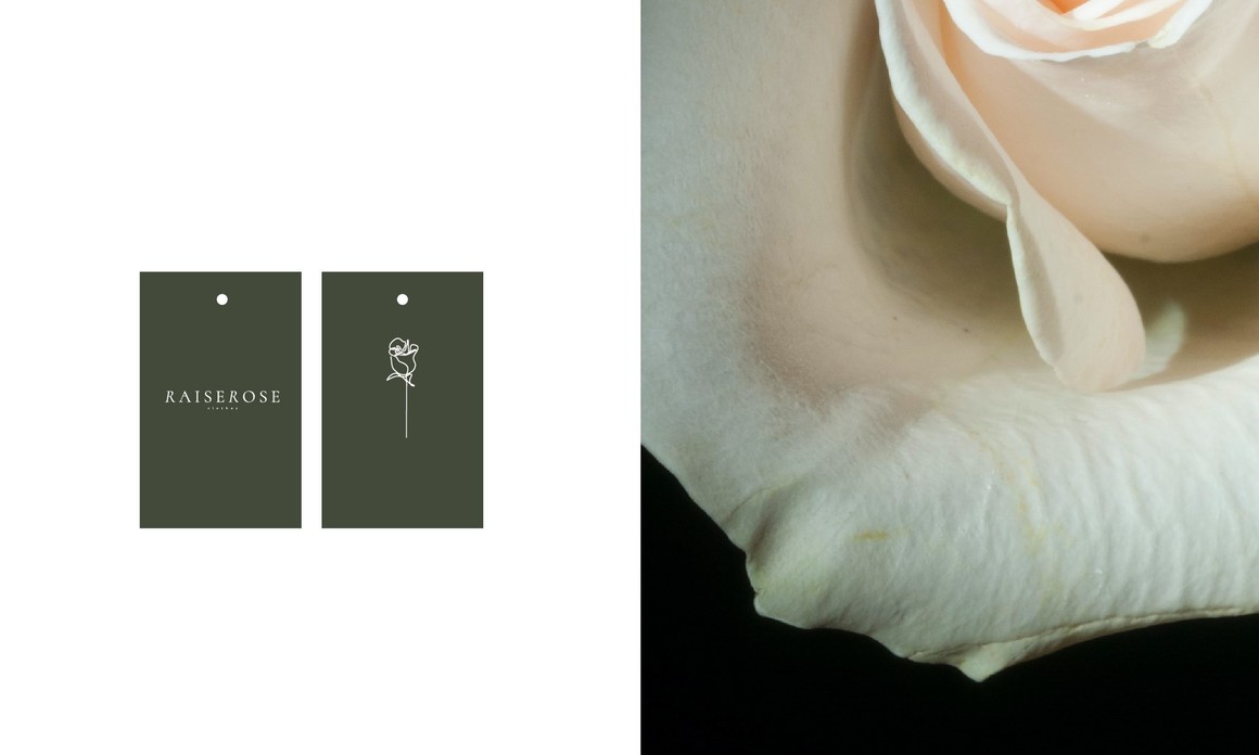 品牌标志形象设计作品,平面设计标志设计作品