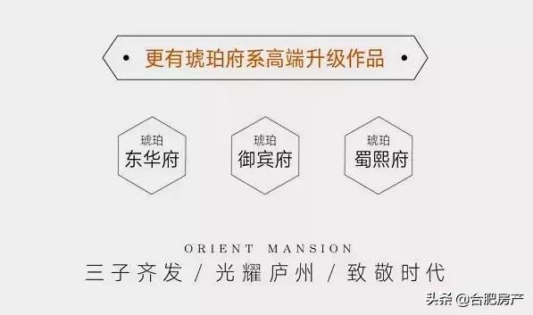 实探！琥珀经典升级之作！2号线+双公园！还有市政冷暖双供