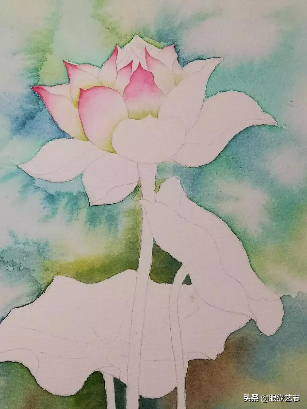 水彩莲花画法教程,白色荷花水彩画法教程
