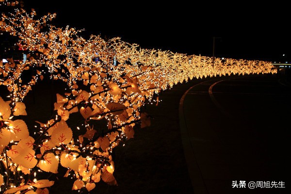 大连滨海路的美景之旅,大连海滨路旅游攻略