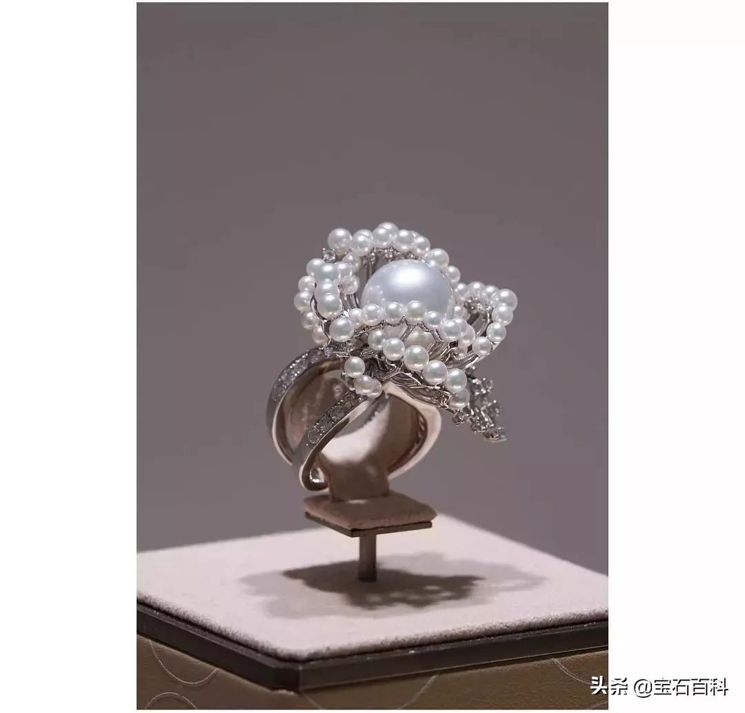 澳白珍珠和南洋金珍珠,澳白南洋白珍珠