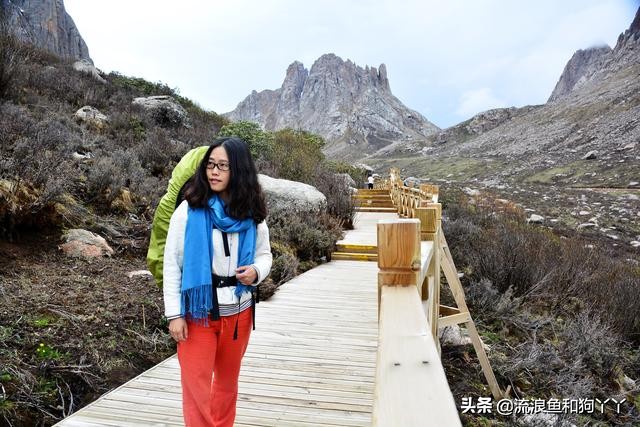 年保玉则现在开放了吗,年保玉则为啥被封