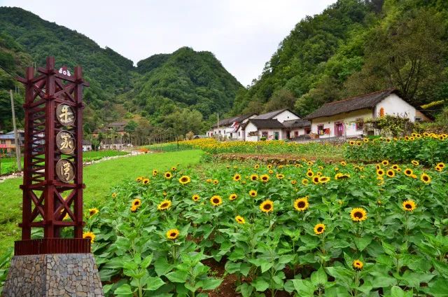 陕西未来5年搬迁村名单,陕西最新农村规划名单